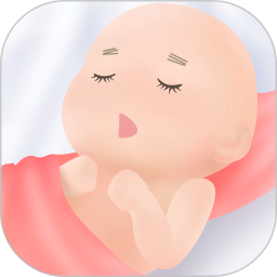 宝贝时刻电脑版