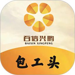百信兴鹏项目管理系统电脑版
