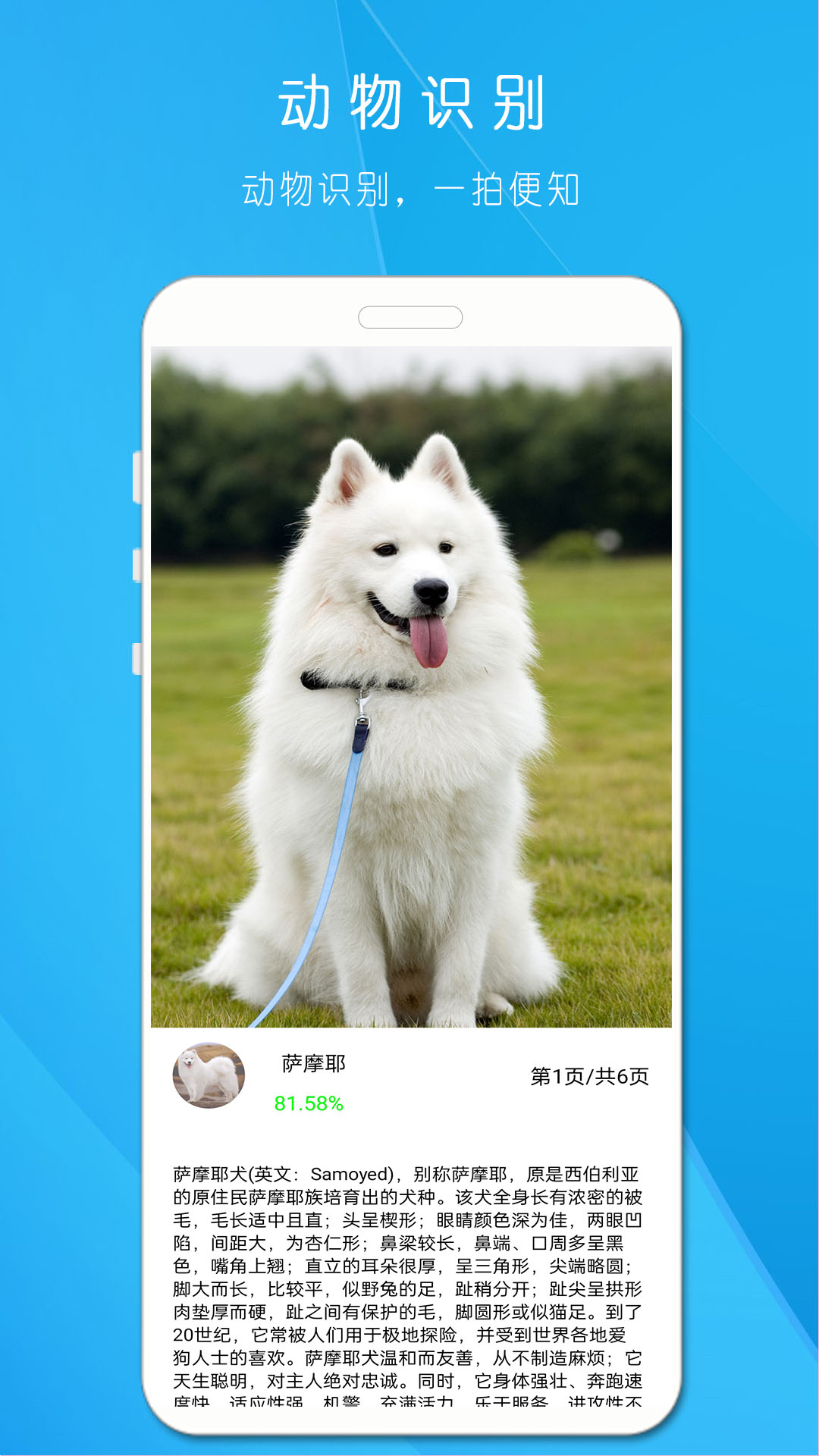 拍照识万物截图