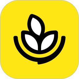 燕麦烘焙电脑版