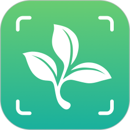 植物大师电脑版
