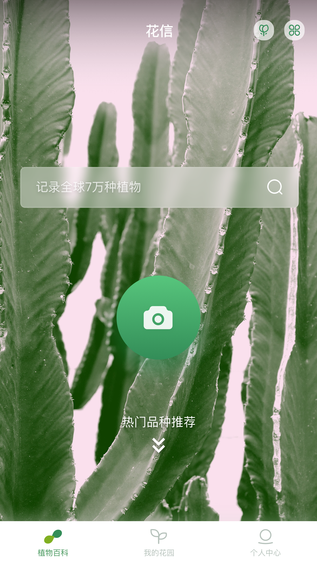 花信电脑版截图