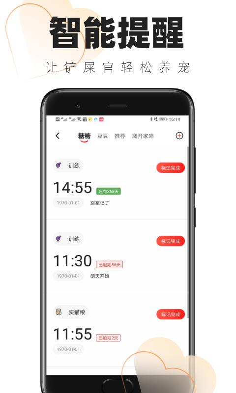 铲屎官的日常截图