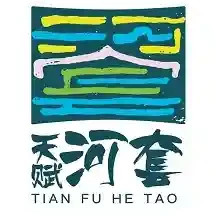 天赋河套云电脑版