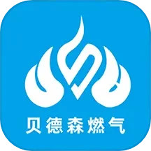 贝德森燃气电脑版