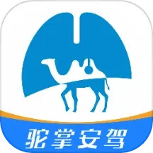 驼掌安驾电脑版