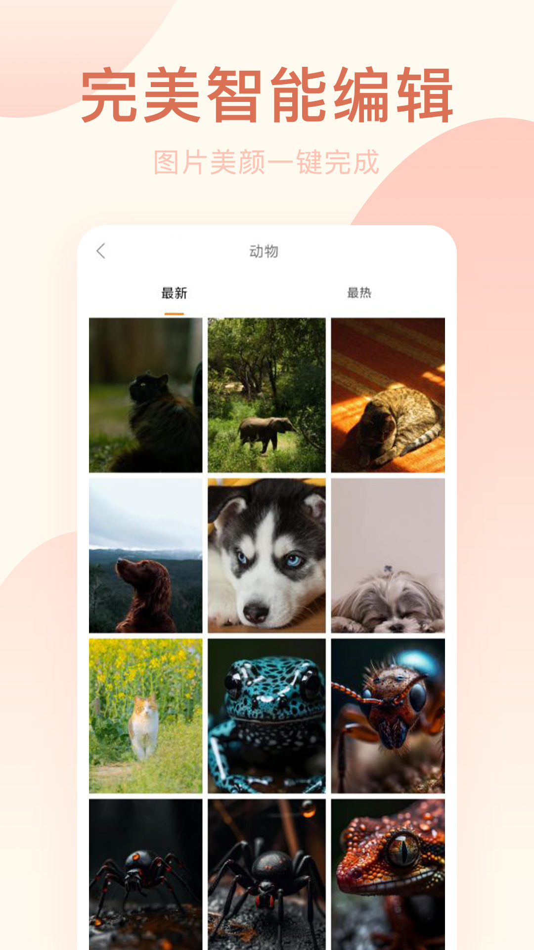 趣相机截图