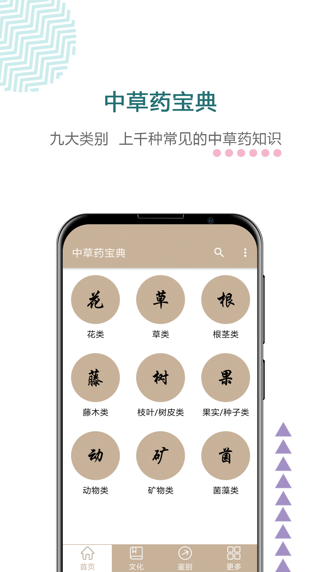 中草药宝典截图