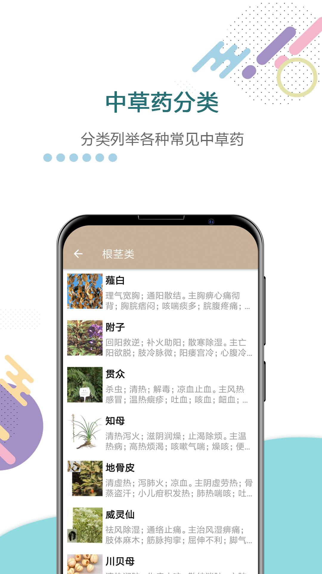 中草药宝典截图