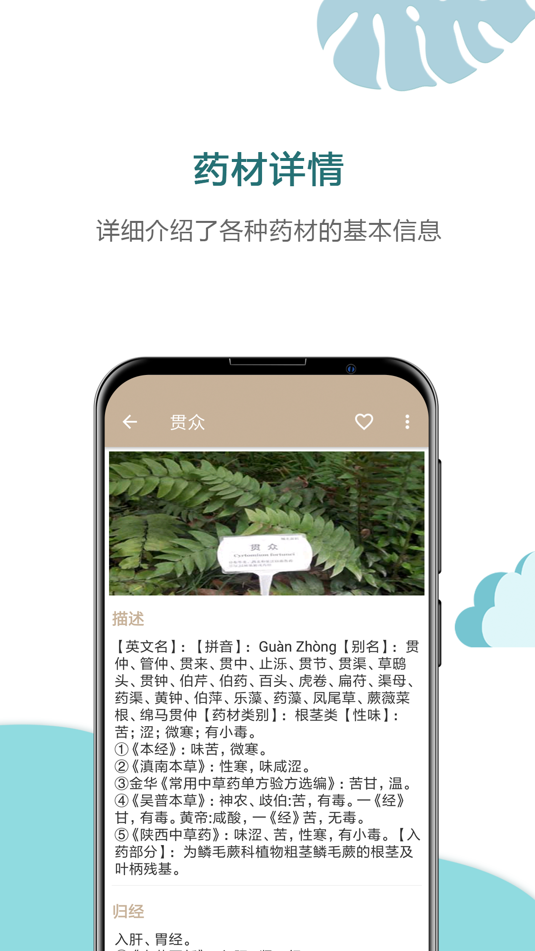 中草药宝典截图