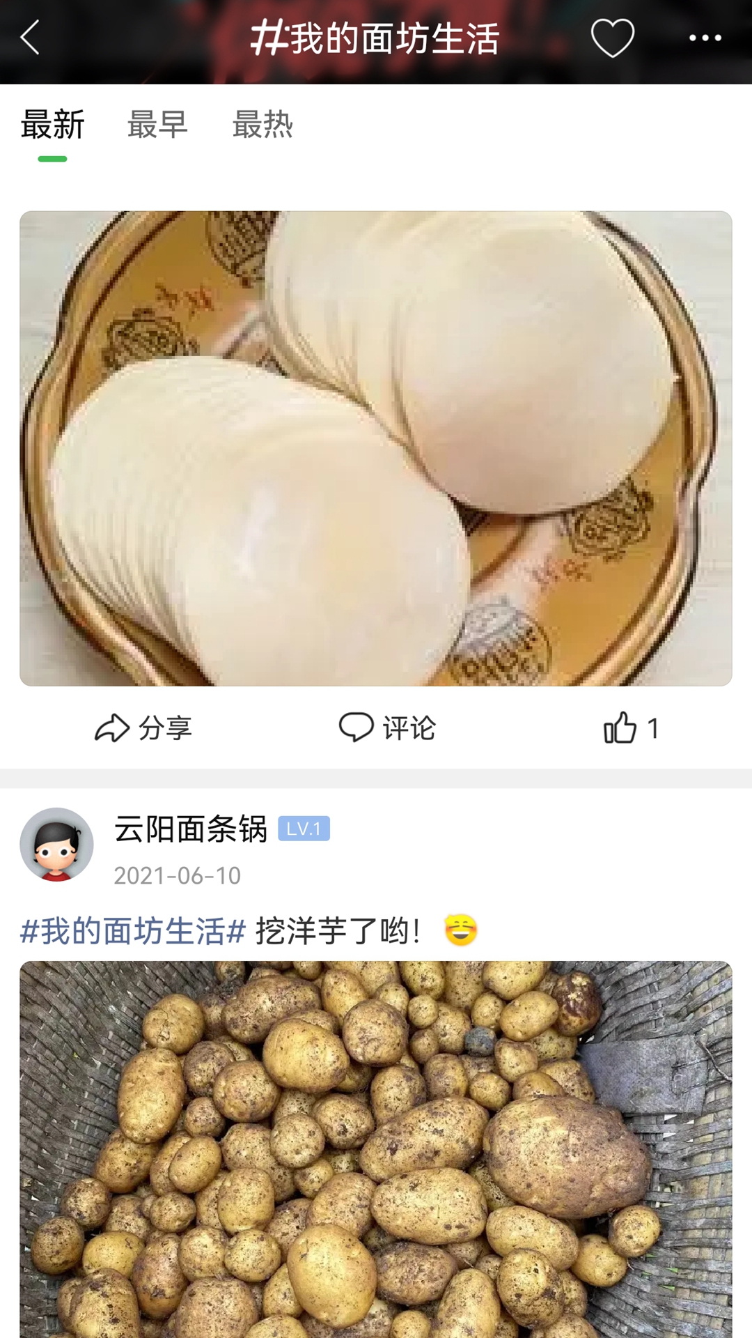 重庆鲜面条电脑版截图