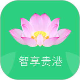 智享贵港电脑版