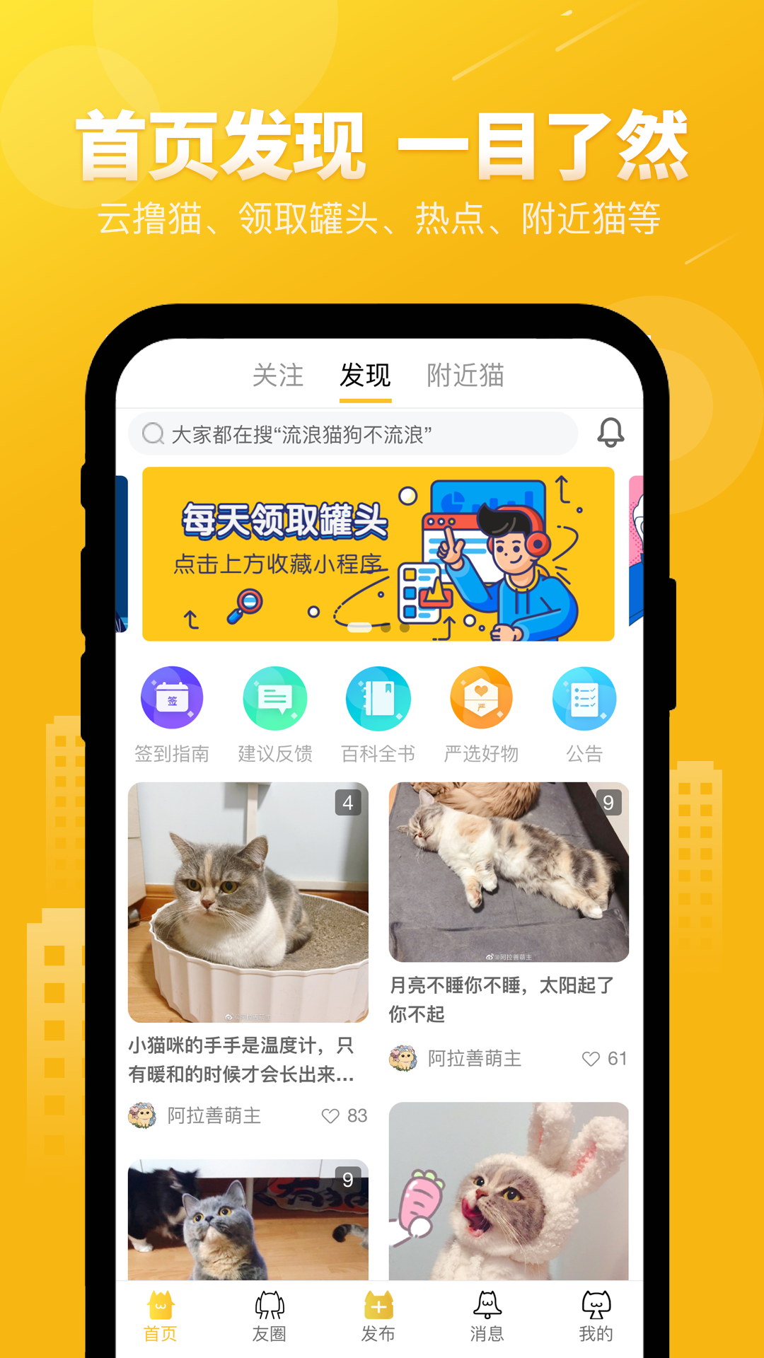 友猫截图