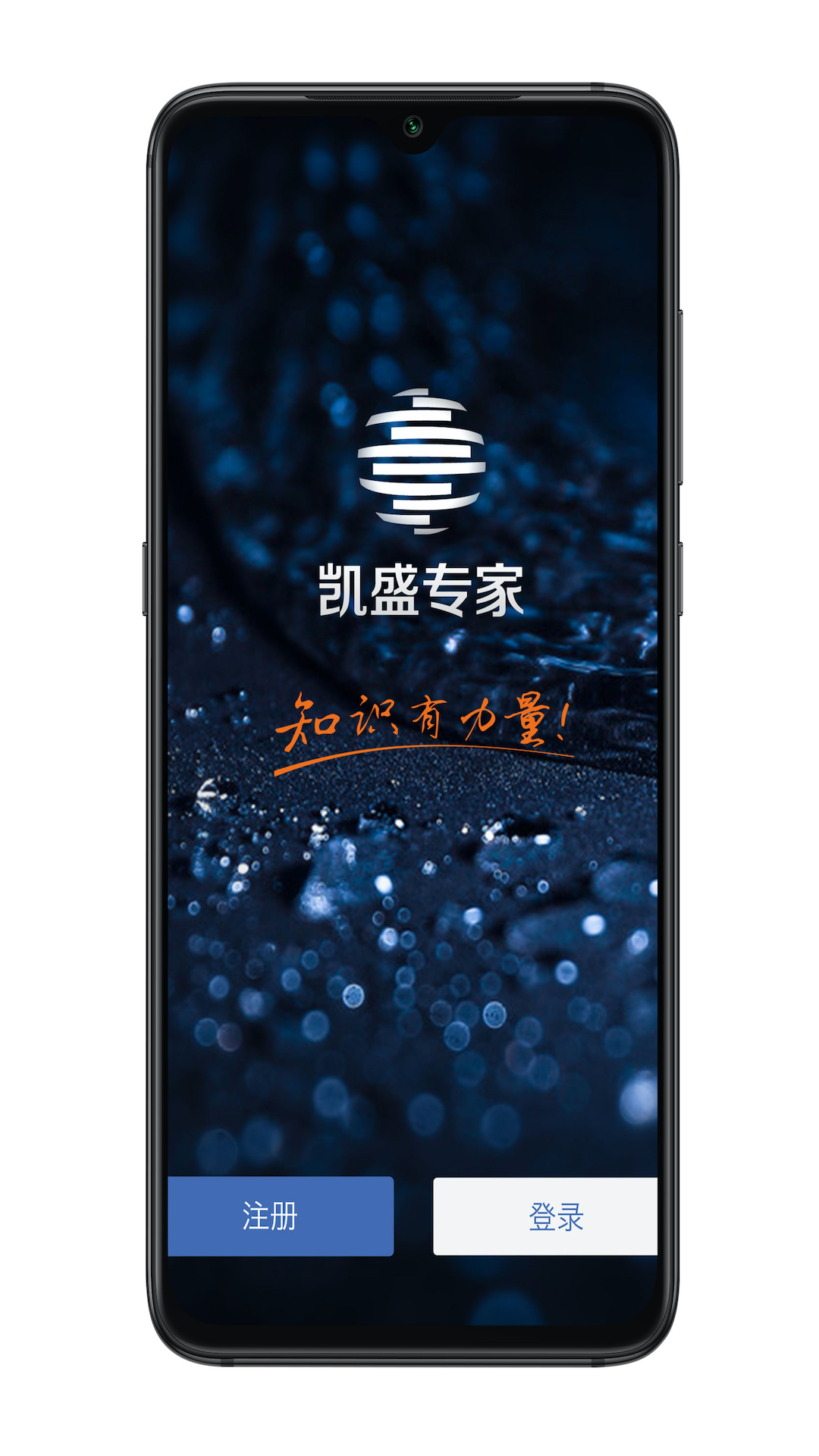 凯盛专家截图