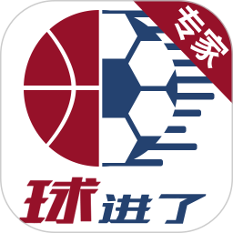 球进了-专家版电脑版