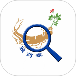 照药镜电脑版