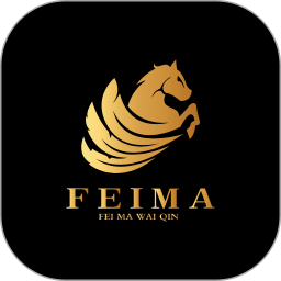 飞马外勤电脑版