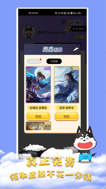 皮肤大佬截图