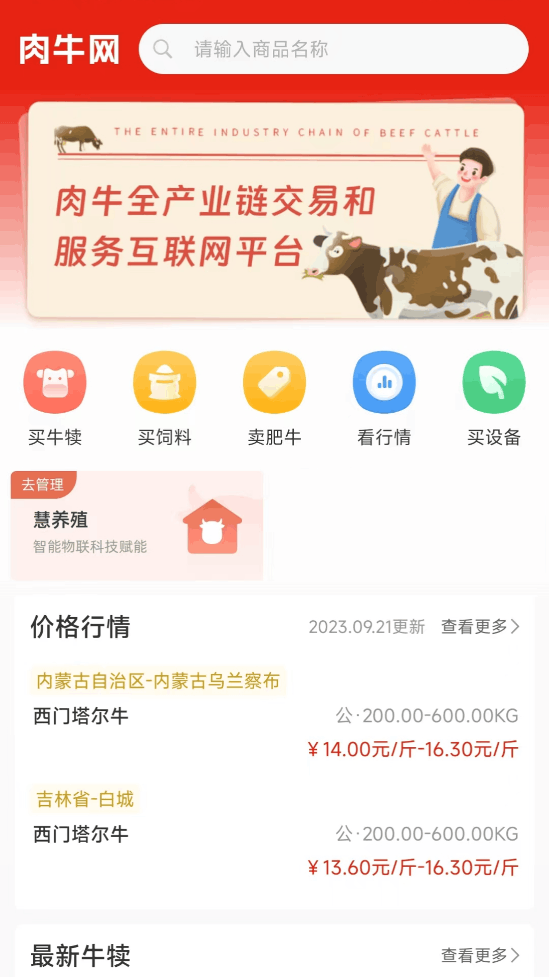 肉牛网截图