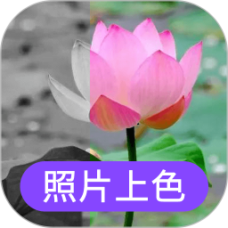 照片上色电脑版