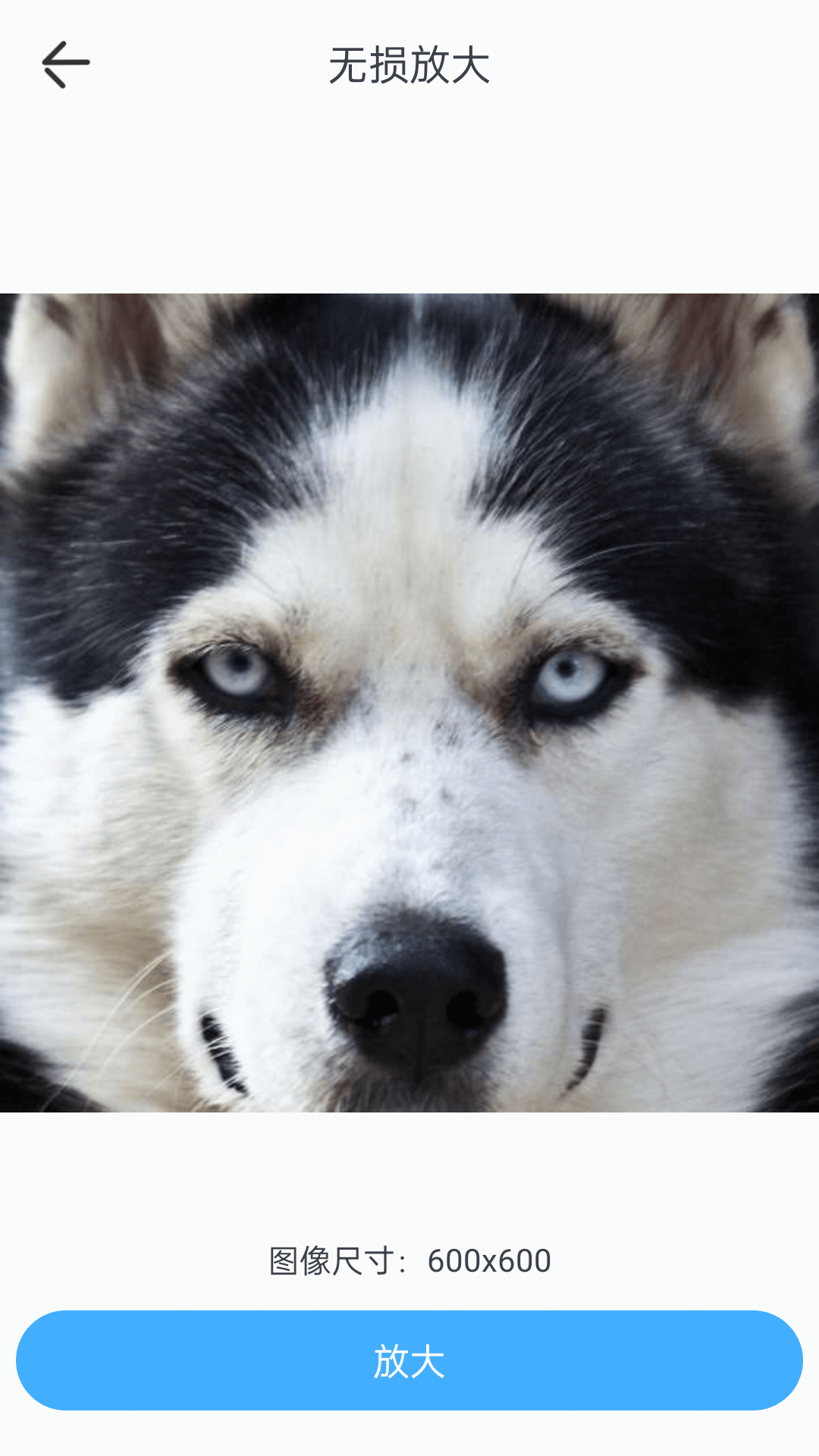 百变特效相机截图