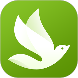 FlashBack归燕加速器电脑版