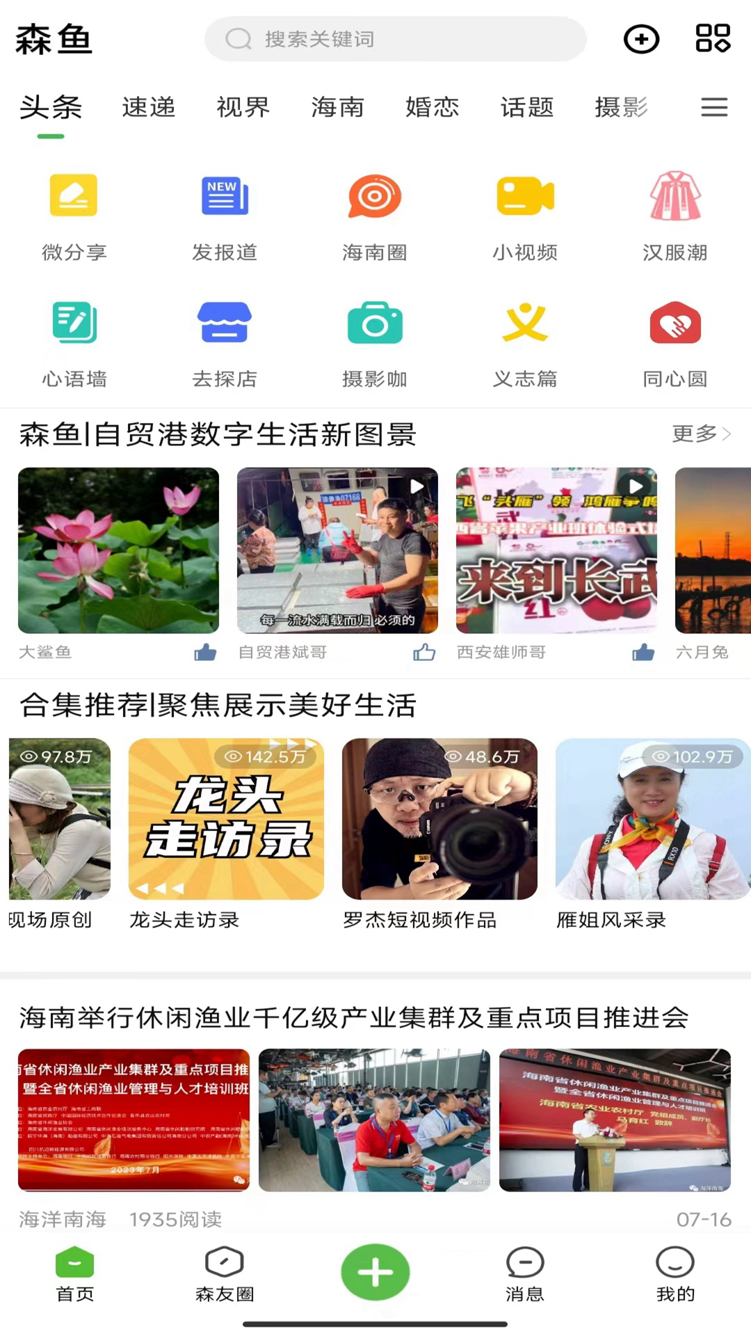 森鱼截图