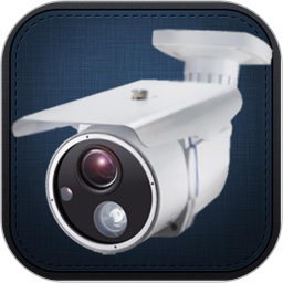 大众电子眼电脑版