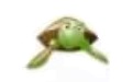 PenyuBuzz