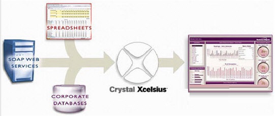 Crystal Xcelsius截图