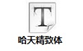 哈天精致体
