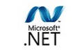 .NET Framework 4.8