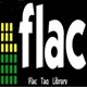 Flac Tag Library