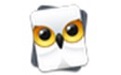 SnowyOwl