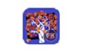 PuzziPix Pro