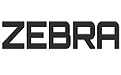zebra2