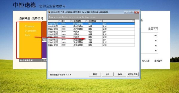 中恒诺德财务报表分析助手