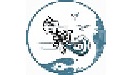 白浪创客