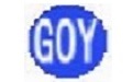 GOY商业进销存管理系统
