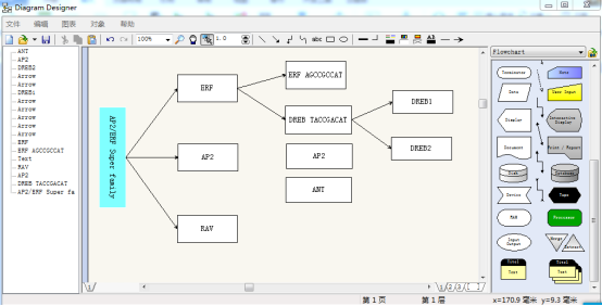 diagram designer官方版v1.29.5