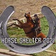 Horse Shelter 2021