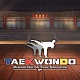 跆拳道虚拟示范团中文版
