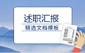 评估报告模板