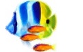 Coral Reef 3D Screensaver