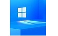 windows11汉化补丁