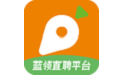 萝卜招聘