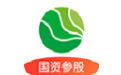 生菜金融