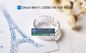 Windows11 22000.168 X64 专业精简版