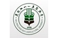 八一农大电脑版