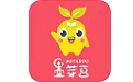 墨芽豆课堂电脑版